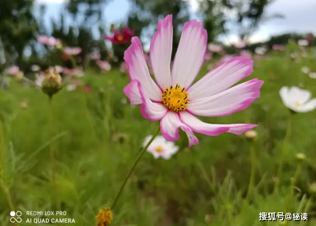 摄影教程app下载_摄影教学软件app_3g手机摄影教学网站下载