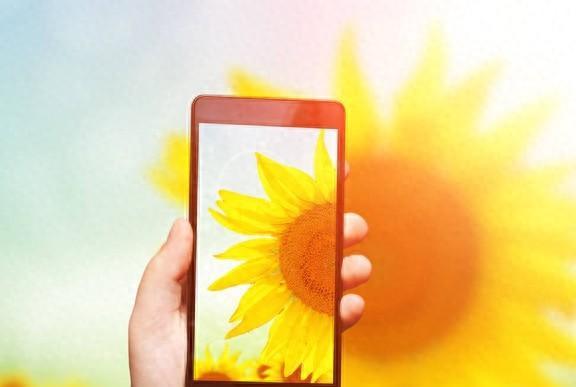电信支持什么手机_电信要求2020的手机不支持3G_电信手机卡支持什么手机