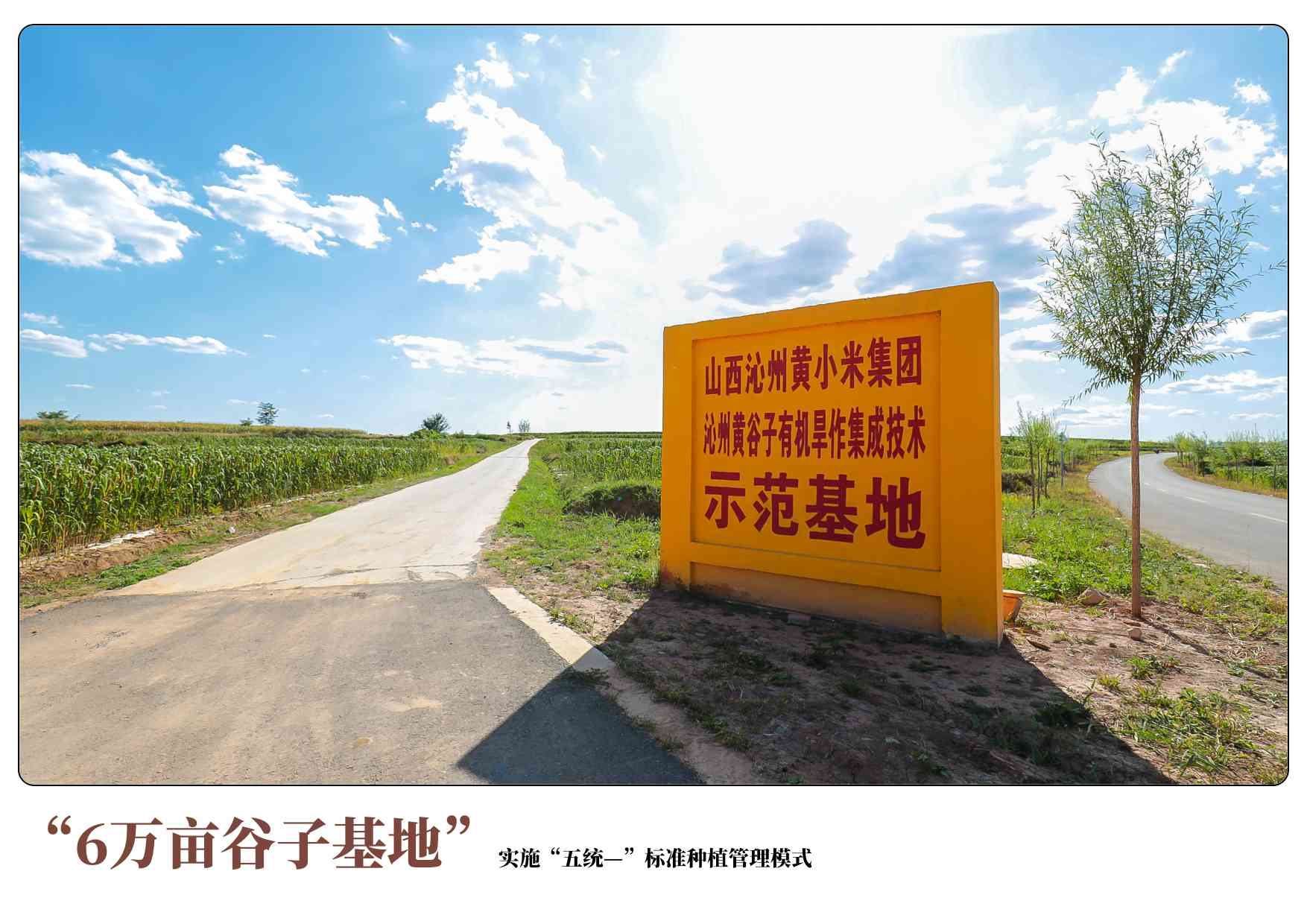 小白教程：小米手机4G切换3G全攻略
