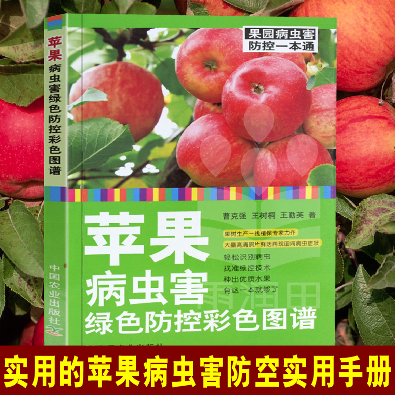 苹果手机显示3g但上不了网_苹果手机3g网是怎么回事_苹果手机3g网连不上怎么回事