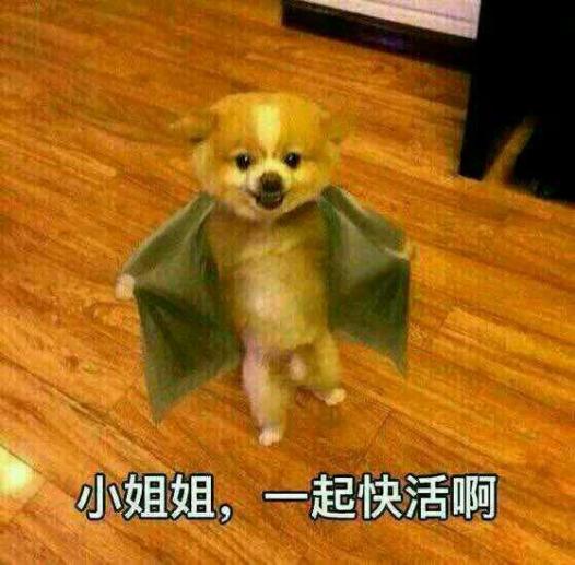 华为手机上3个微信_华为4c手机3g连不上_华为手机上3个按键怎么设置