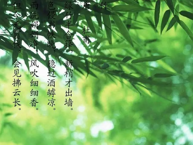 三星3G时代的辉煌：特性、性能与设计全面解析及感悟体验分享