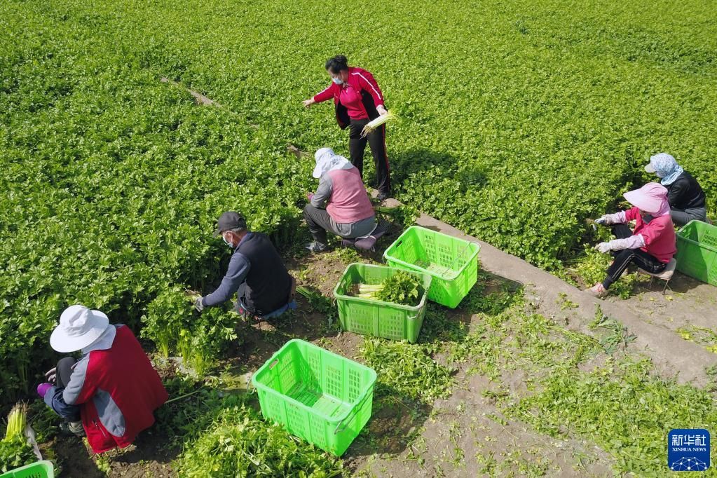 苹果显示网络不可用是怎么回事_苹果4g显示3g网络_苹果显示网络中断