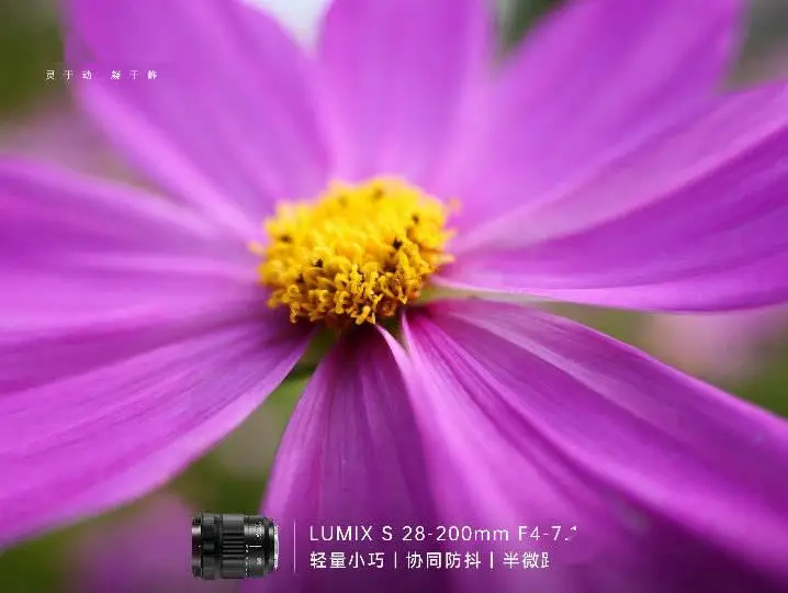 4g卡放进3g手机里信号不好_3g卡装在4g手机上_4g的卡放在3g的手机上吗