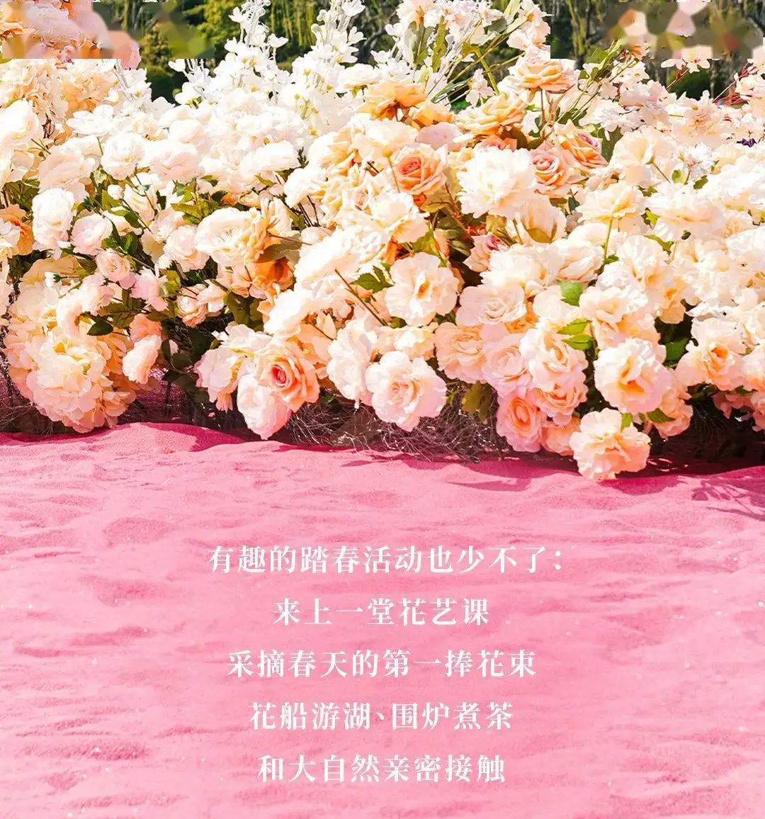 苹果4s的3g网络设置在哪里_苹果网络设置还原_苹果网络设置还原是什么意思