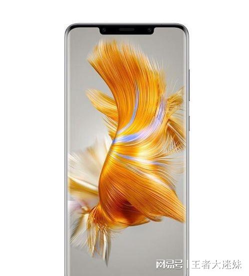 手机内存升级价格_手机升级运行内存价格_3g手机如何升级4g运行内存