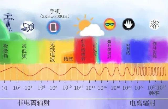 手机进水后无法使用4g网_手机进水后变2g_手机进水后4g变3g