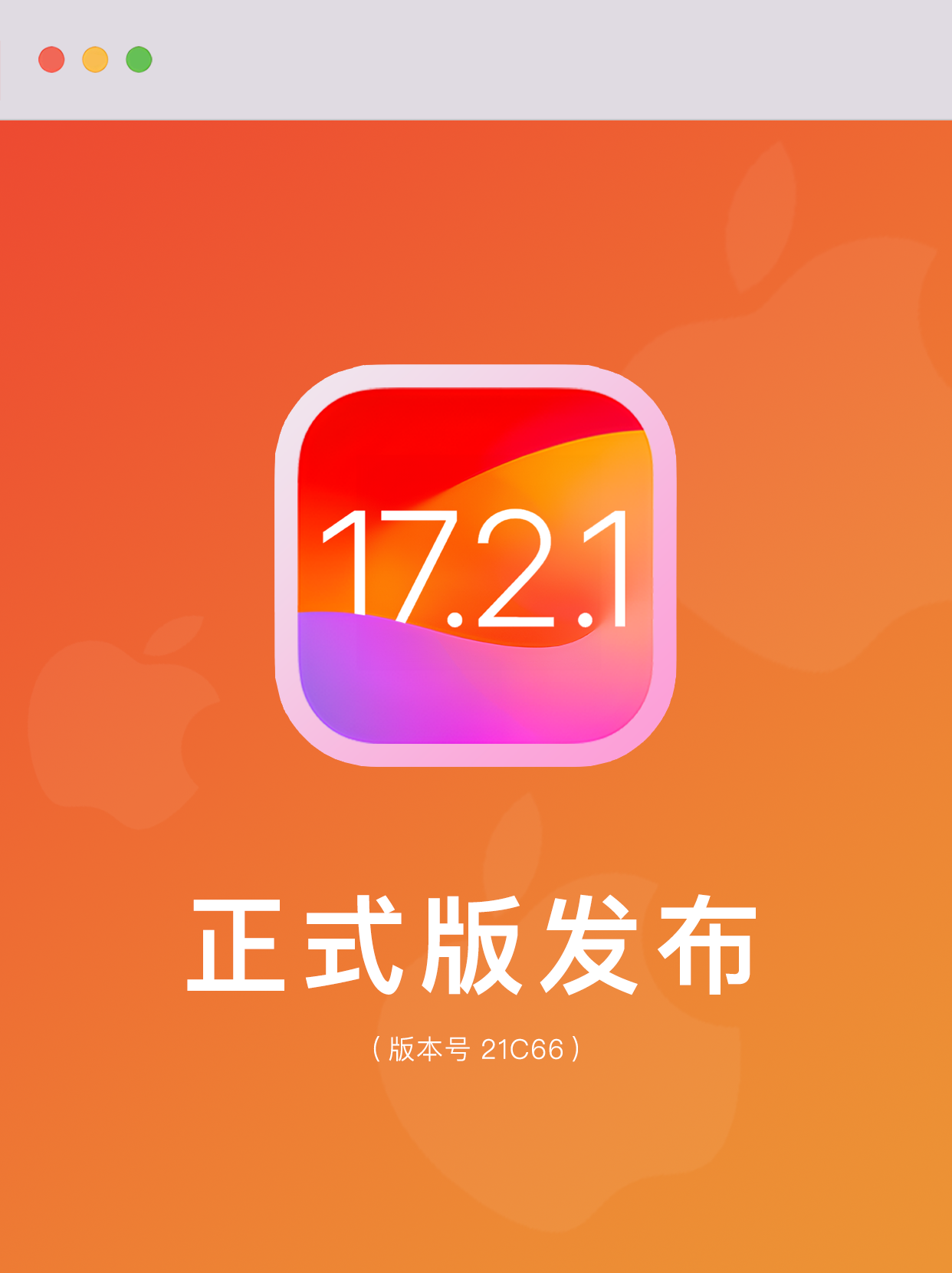 iphone网络3g_苹果网络使用权限在哪打开_苹果13怎么使用3g网络