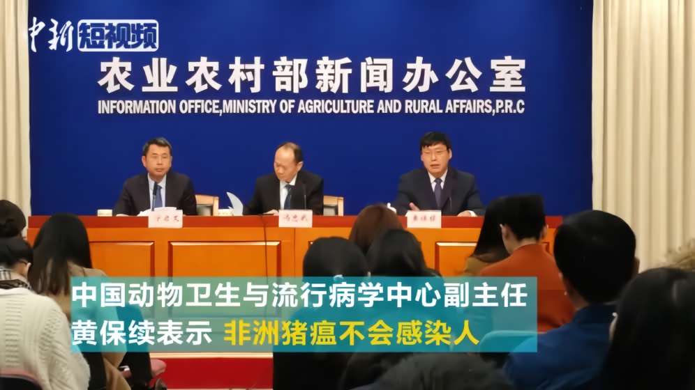 非洲ICT市场蓬勃发展：3G网络建设引领科技赋能，助力经济社会进步与创业就业