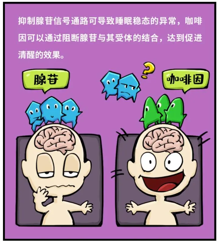 揭秘安卓手机只用3G模式的神奇效果