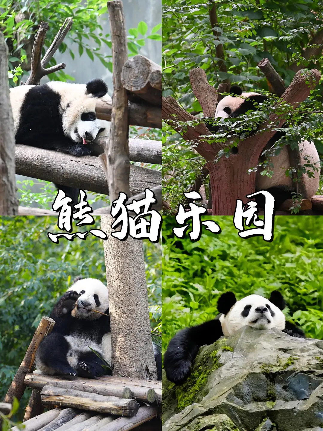 联通3g手机版怎么下载_联通3g软件_联通3g门户免流下载