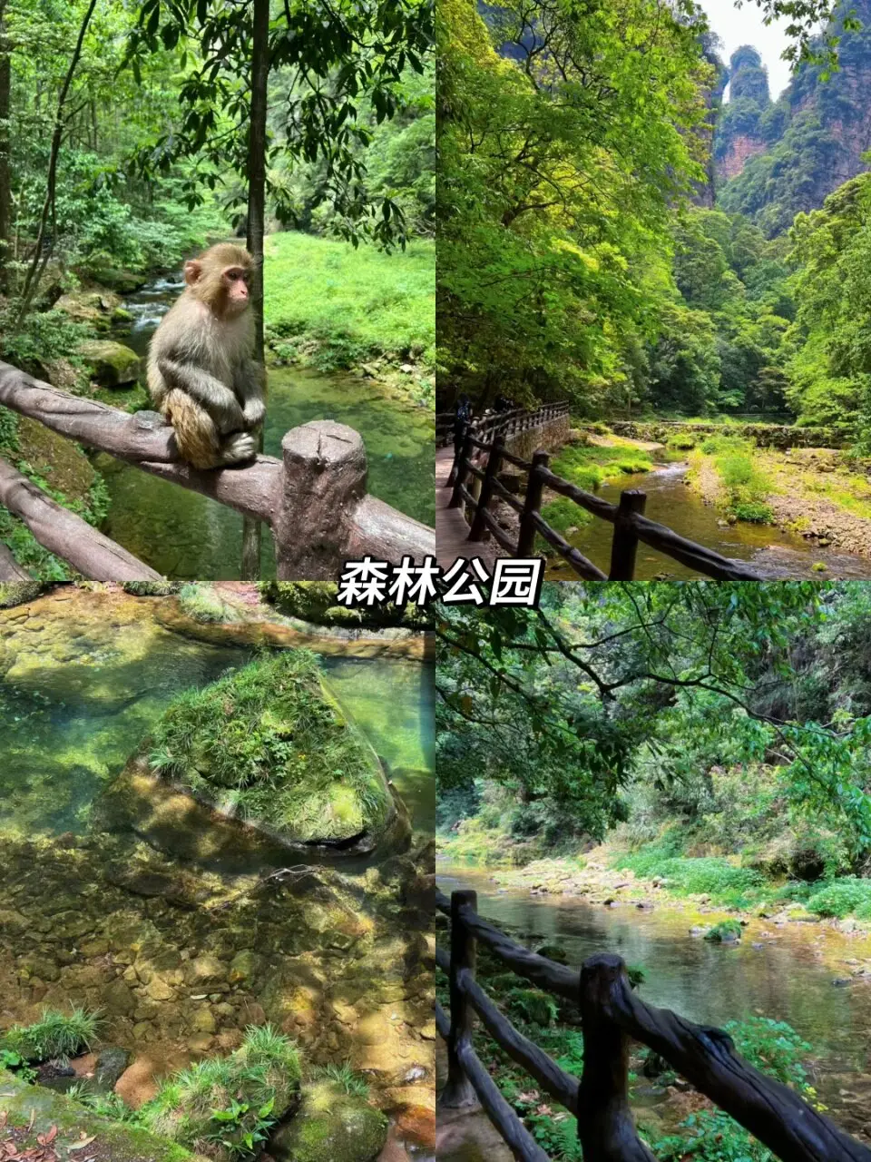 联通3g手机版怎么下载_联通3g软件_联通3g门户免流下载