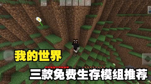 我的世界3g手机可以玩吗_一部手机游世界_3g手机可以玩我的世界吗