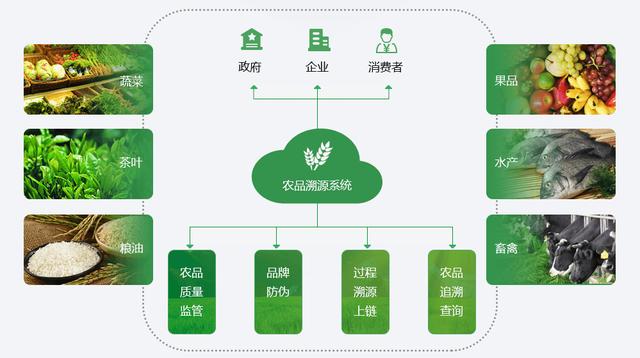 5G手机显示3G流量？背后原因大揭秘